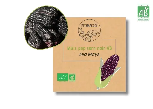[PC-212] Maïs popcorn noir AB