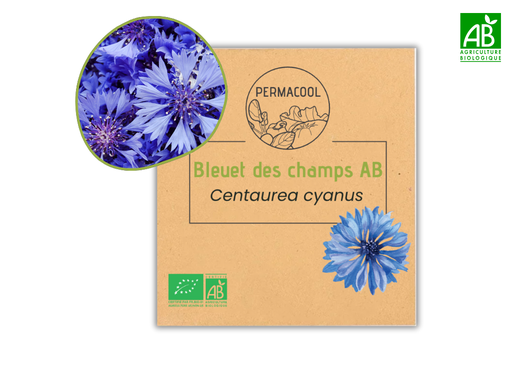 [PC-214] Bleuet des champs AB