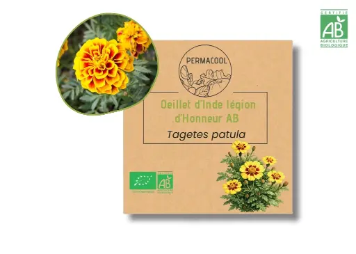 [PC-216] Oeillet d'Inde légion d'honneur AB