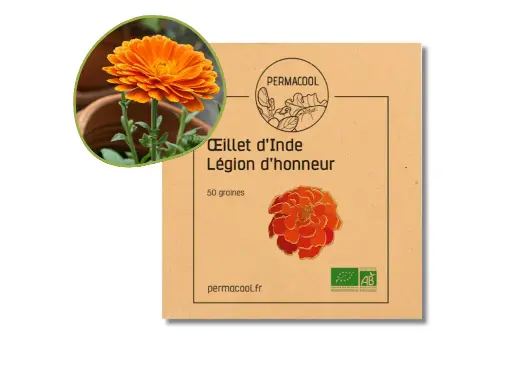 [PC-216] Oeillet d'inde légion d'honneur AB
