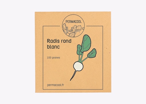 [PC-217] Radis rond White beauty AB