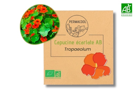 [PC-292] Capucine écarlate AB