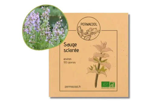 [PC-297] Sauge Sclarée AB