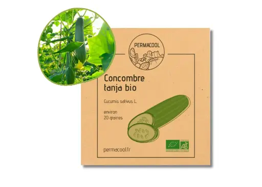 [PC-363] Concombre Tanja AB