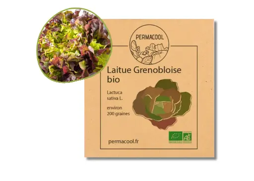 [PC-368] Laitue grenobloise AB