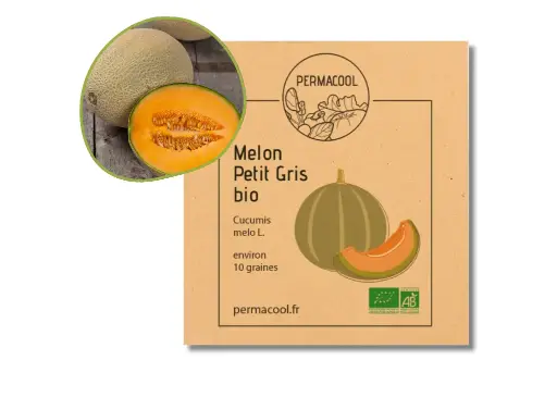 [PC-370] Melon petit gris de Rennes AB