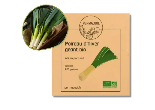 [PC-371] Poireau Géant d'Hiver AB