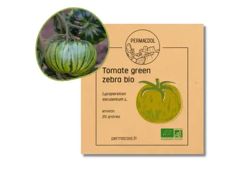 [PC-373] Tomate green zebra AB