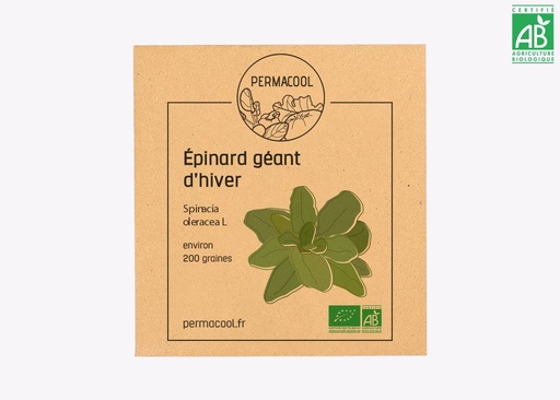 [PC-379] Epinard Géant AB