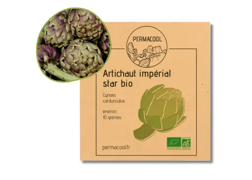 [PC-382] Artichaut Impérial Star AB