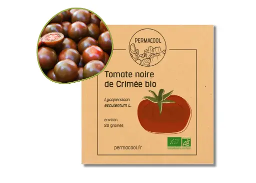 [PC-384] Tomate Noire de Crimée AB