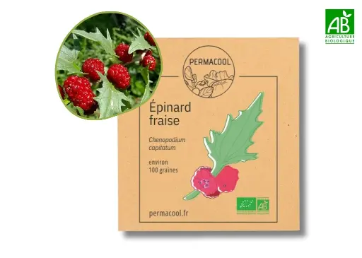 [PC-430] Épinard fraise AB
