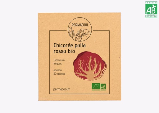 [PC-466] Chicorée Palla Rossa AB