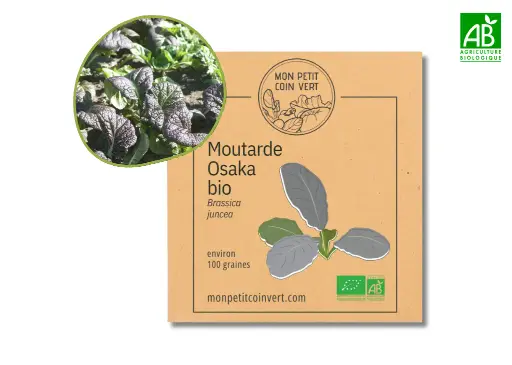 [PC-482] Moutarde Osaka AB