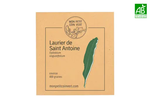 [PC-494] Laurier de Saint-Antoine NT