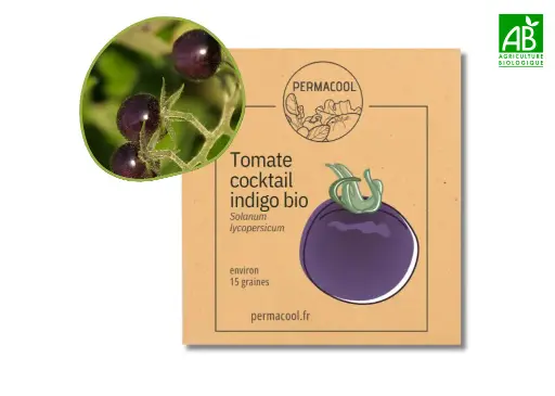 [PC-496] Tomate cocktail indigo AB