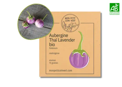 [PC-500] Aubergine Thaï Lavender AB