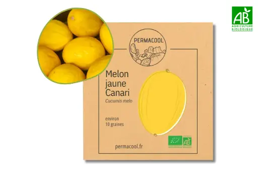 [PC-503] Melon jaune Canari AB