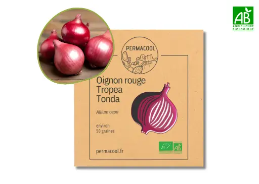 [PC-572] Oignon rouge Tropea Tonda AB