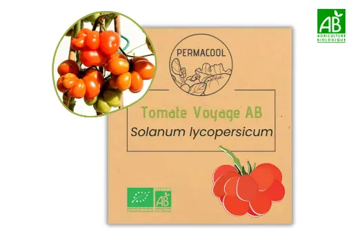[PC-578] Tomate voyage AB