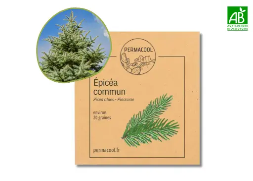 [PC-602] Sapin - Épicéa commun NT