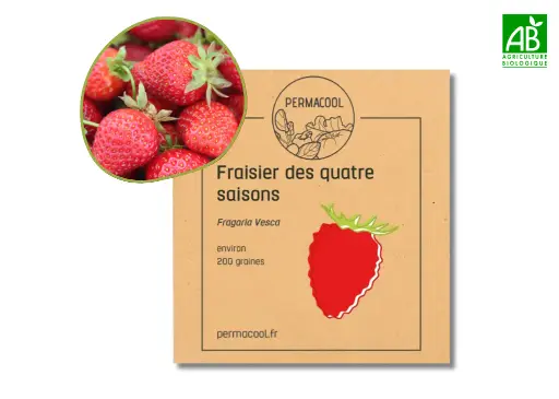 [PC-628] Fraisier des 4 saisons NT