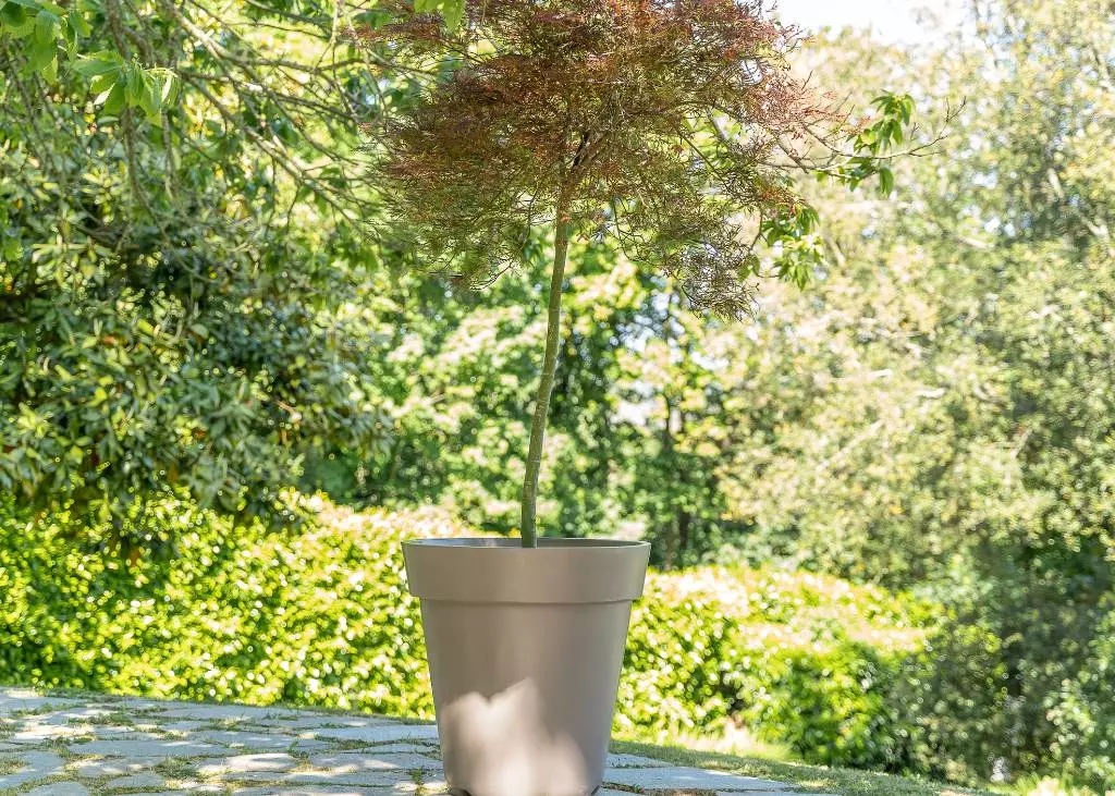 Grand pot de fleurs rond PEHD PAPI