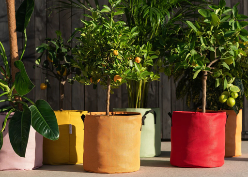 Pot en toile respirante - 30Ø