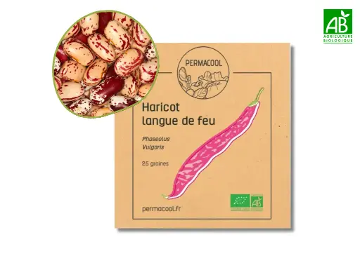 [PC-751] Haricot langue de feu 2 AB