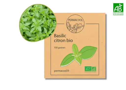[PC-193] Basilic citron AB