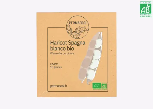 [PC-876DL] Haricot d'Espagne Spagna Bianco AB - DL 