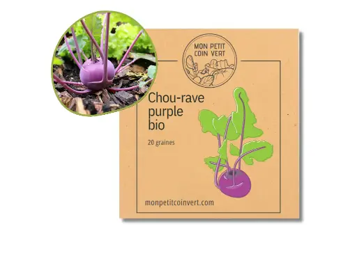 [3760353364156] Chou-rave purple AB
