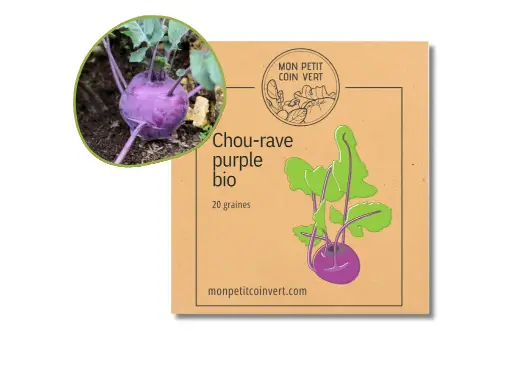 [PC-967] Chou-rave purple AB