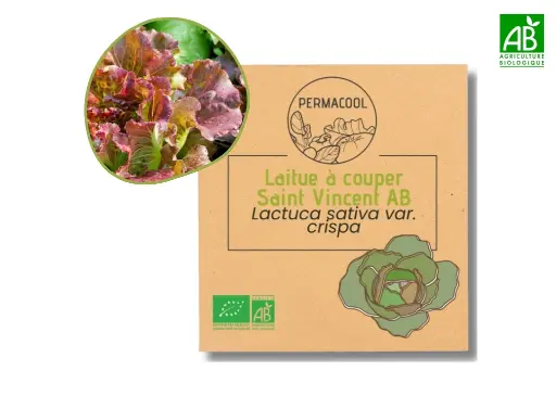 [PC-980] Laitue à couper Saint Vincent AB