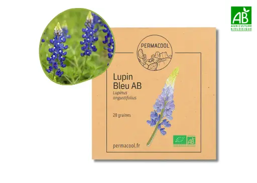 [PC-1000] Lupin Bleu AB