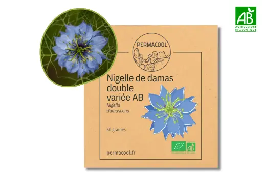[PC-1002] Nigelle de damas double variée AB