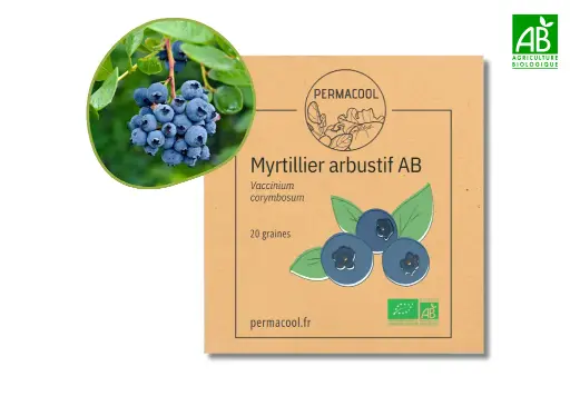 [PC-1004] Myrtillier arbustif AB