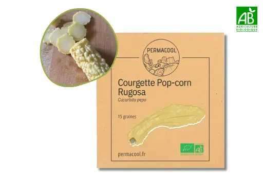 [PC-1008] Courgette pop-corn AB