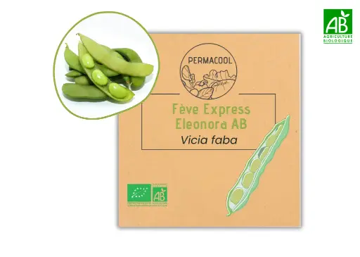 [PC-1020] Fève Express Eleonora AB