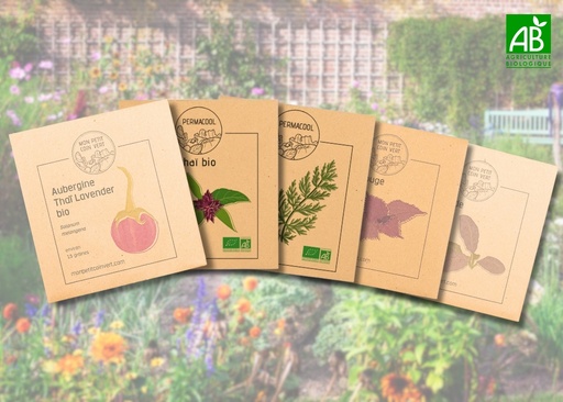 [PC-1027] Lot de graines potagères - Saveurs asiatiques