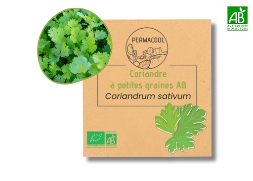 [PC-110DL] Coriandre à petites graines AB DL
