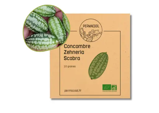 [PC-202DL] Mini concombre zehneria AB DL