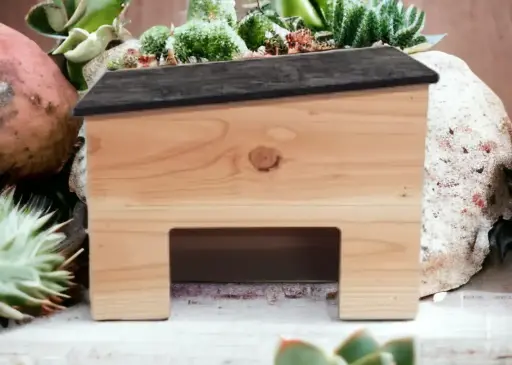 [91028] Abri pour tortue de terre en Douglas 40x28x25 cm  - Le Livet