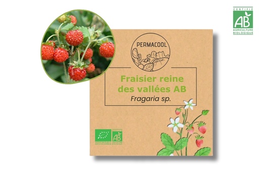 [PC-1113] Fraisier Reine des vallées AB