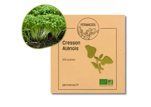 [PC-206DL] Cresson alénois AB - DL