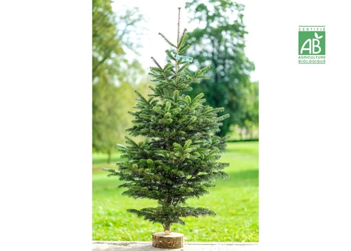 [DROP-608] Sapin de Noël Nordmann Bio 1m50/1m70