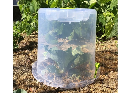 [DROP-611] Cloches pour potager ø35 cm