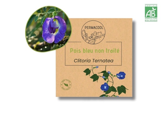 [PC-1036] Pois bleu NT