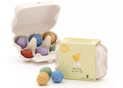 [PC-1051] Bombes à graines "Hourra, tu es là"