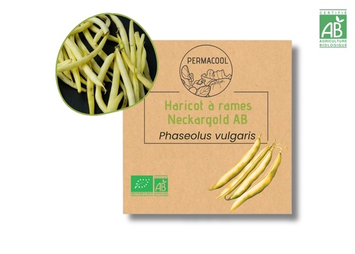 [PC-1060] Haricot à rames mangetout Neckargold AB